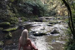 Serenity by the Stream