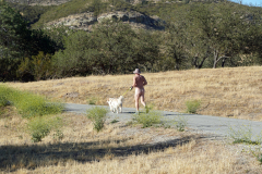 1_Running-the-dog